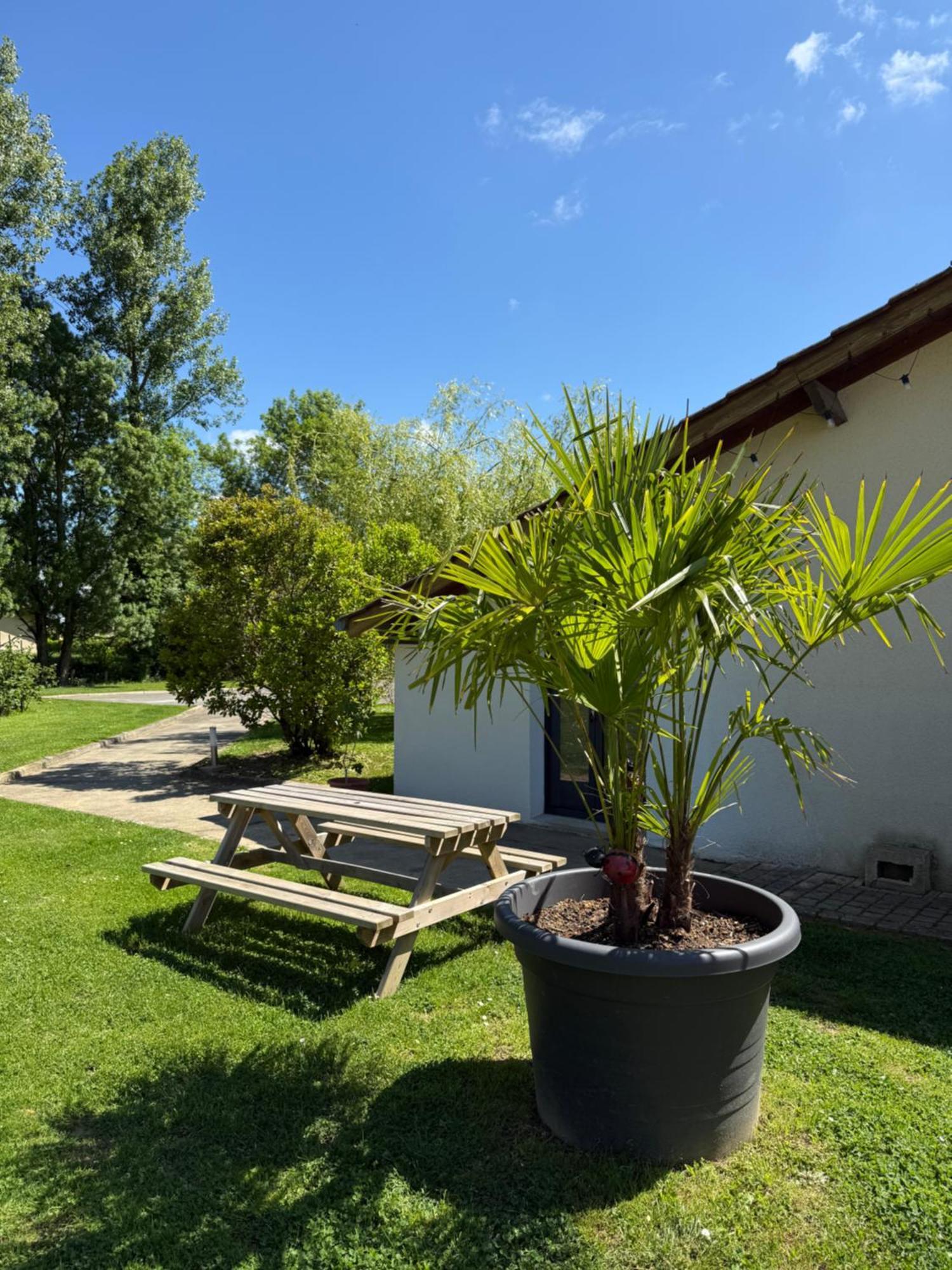 Parc De La Charmille Bed & Breakfast Saint-Étienne-sur-Reyssouze Exterior photo